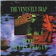 The Venus Fly Trap - 